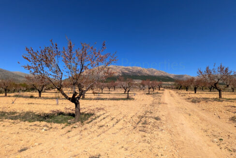 PXL_20260325_111259708.MP_InPixio