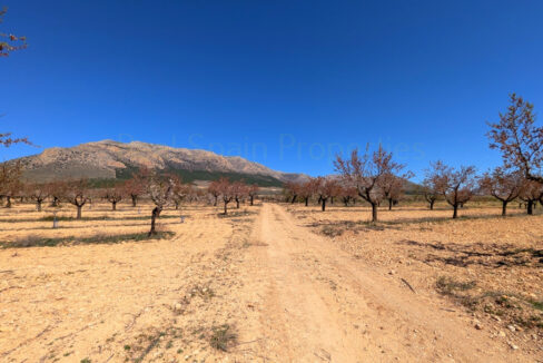 PXL_20260325_111306582.MP_InPixio