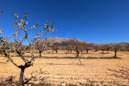 PXL_20260325_111319454_InPixio