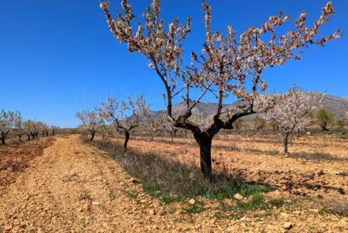 PXL_20260325_111504827.MP_InPixio