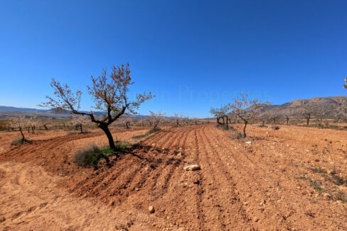 PXL_20260325_111858097_InPixio