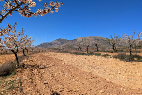 PXL_20260325_111930263.MP_InPixio