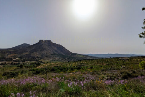 PXL_20260410_085715123.MP_InPixio