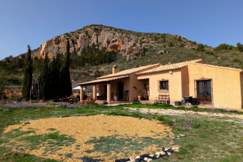 PXL_20260410_093622618.MP_InPixio