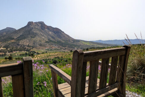 PXL_20260410_093635216.MP_InPixio