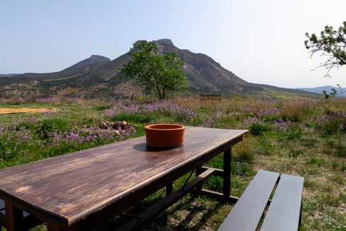 PXL_20260410_093735132.MP_InPixio