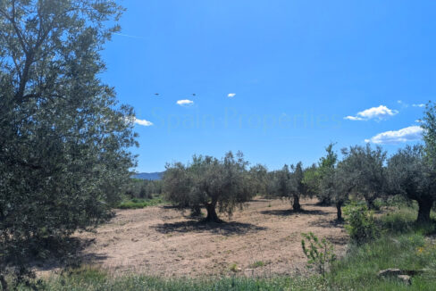 PXL_20260416_103353508_InPixio