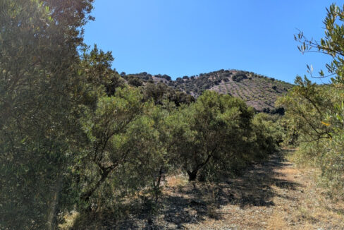 PXL_20260612_083602147_InPixio