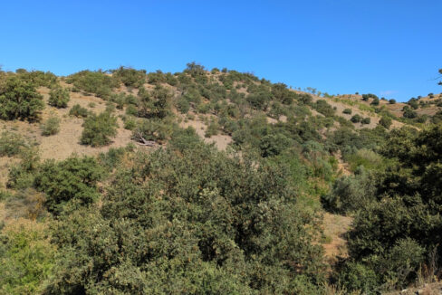 PXL_20260612_085745434_InPixio