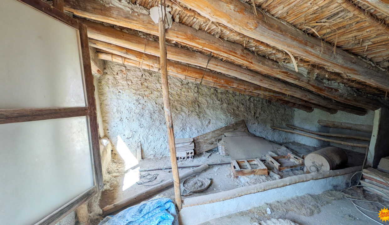 PXL_20260728_093649658_InPixio